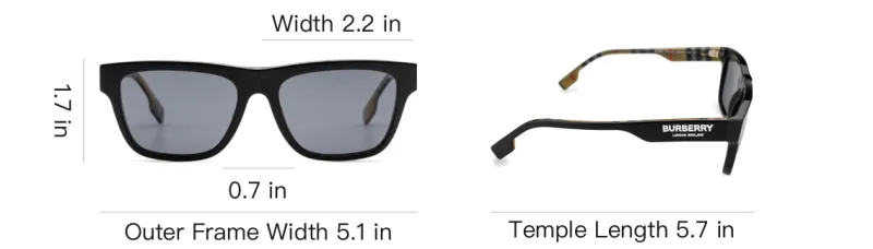 Burberry Sunglasses Men-4