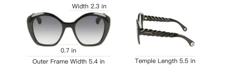 Lanvin Butterfly Sunglasses Women's Black-3
