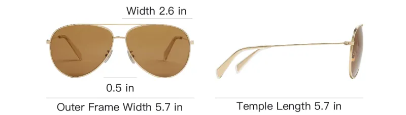 CELINE Sunglasses Men Gold-4