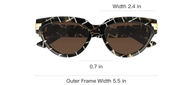 Bottega Veneta Cat Eye Sunglasses-2