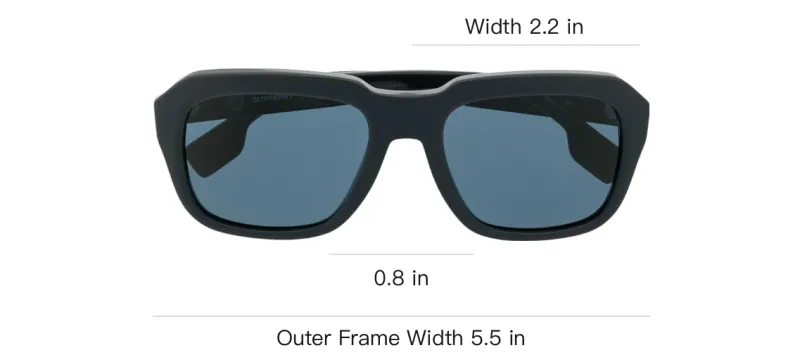 Burberry Sunglasses Men Black-2