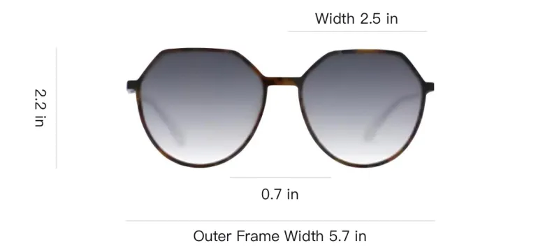 Ana Hickmann Acetate Plastic Irregular Shape Sunglasses Women's Brown-3