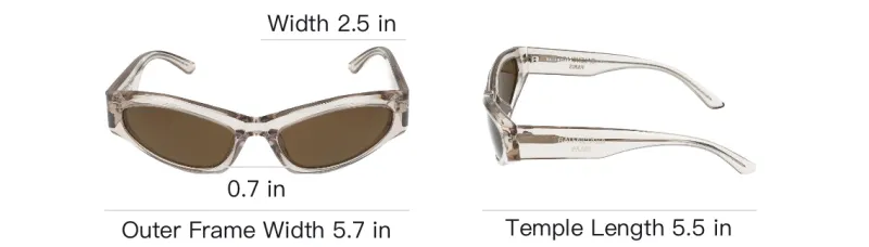 Balenciaga Acetate Irregular Shape Sunglasses Women's Brown-4