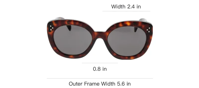 CELINE Cat Eye Frame Sunglasses-3