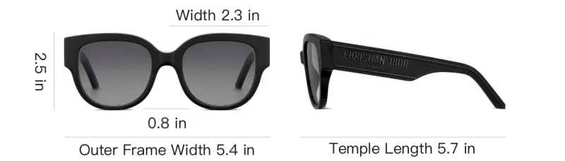 DIOR Eyewear WilDIOR Bu Round Frame Sunglasses-5