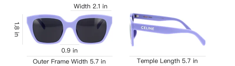 CELINE Butterfly Frame Sunglasses-3