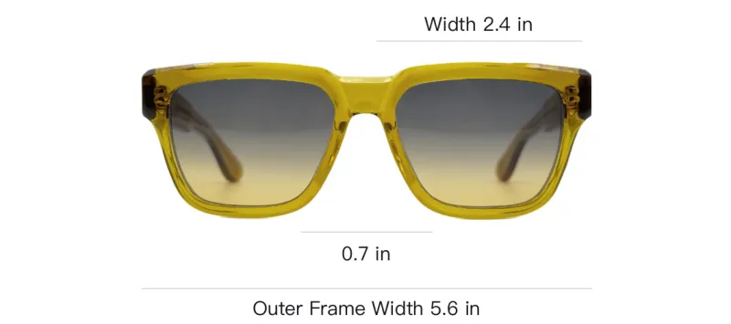 Chrome Hearts Box Officer Sunglasses-3