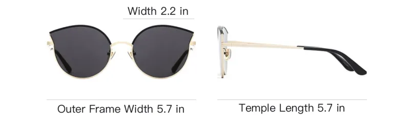 Stephane Christian Acetate Metal Irregular Shape Sunglasses Women's Black-4