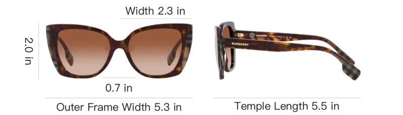 Burberry Cat Eye Sunglasses-6
