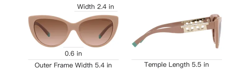 TIFFANY & CO. Cat eye Sunglasses-8