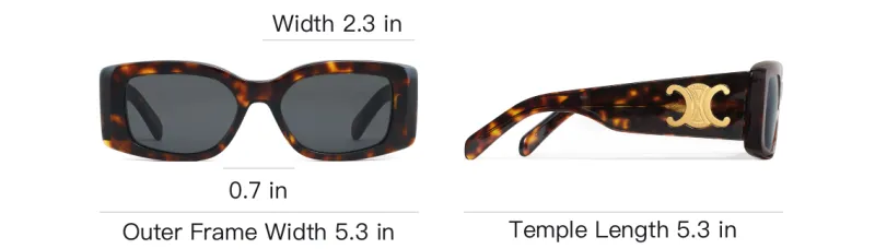 CELINE Triomphe Xl 01 Sunglasses In Acetate-5