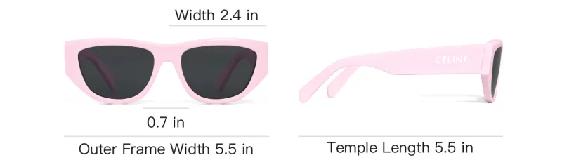 CELINE Monochroms 06 Sunglasses In Acetate-3