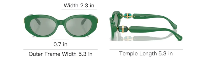 Swarovski Crystal embellished Sunglasses-5