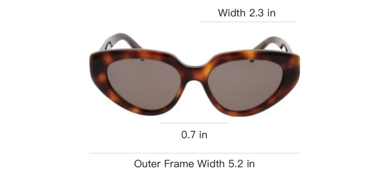 CELINE Butterfly Frame Sunglasses-3