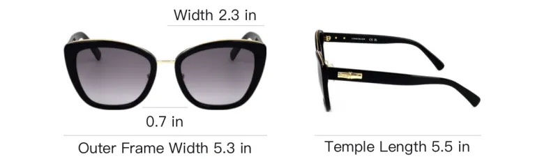 LONGCHAMP Cat Eye Frame Sunglasses-3