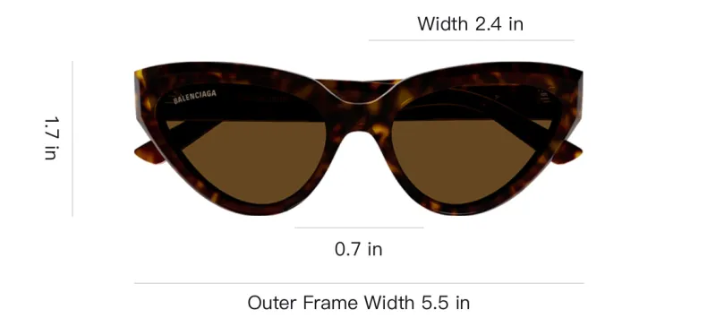 Balenciaga Cat Eye Frame Sunglasses-2