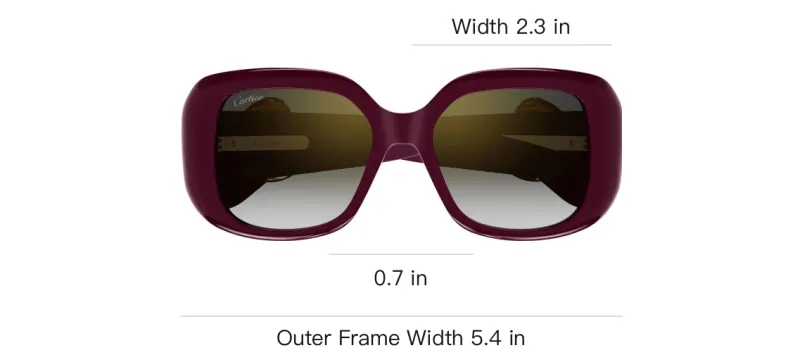 Cartier Panthère Square frame Sunglasses-2