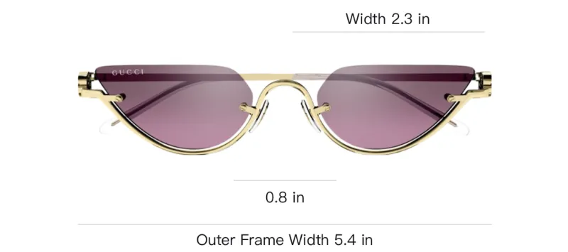 GUCCI Cat Eye Frame Sunglasses-3