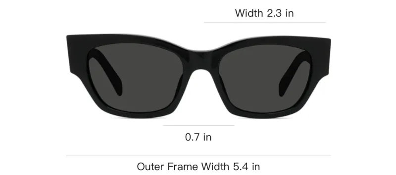 CELINE Monochroms 01 Sunglasses In Acetate-2