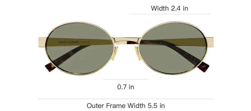 SAINT LAURENT Oval Frame Sunglasses-5