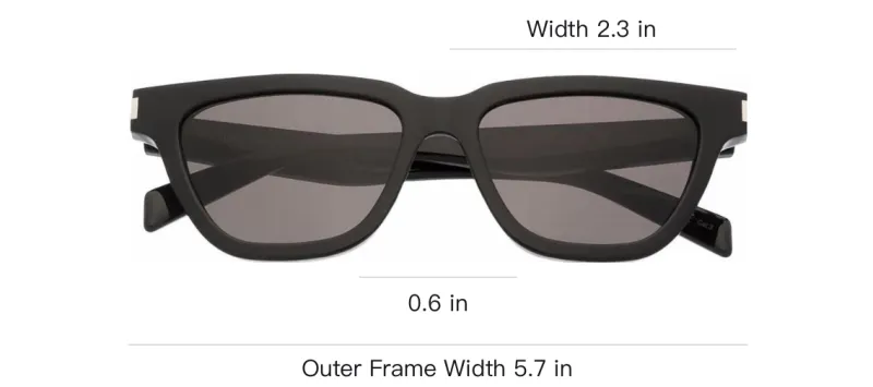 SAINT LAURENT Sl 462 Sulpice D-frame Sunglasses-2