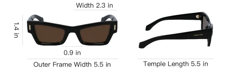 Ferragamo Cat Eye Frame Sunglasses-3
