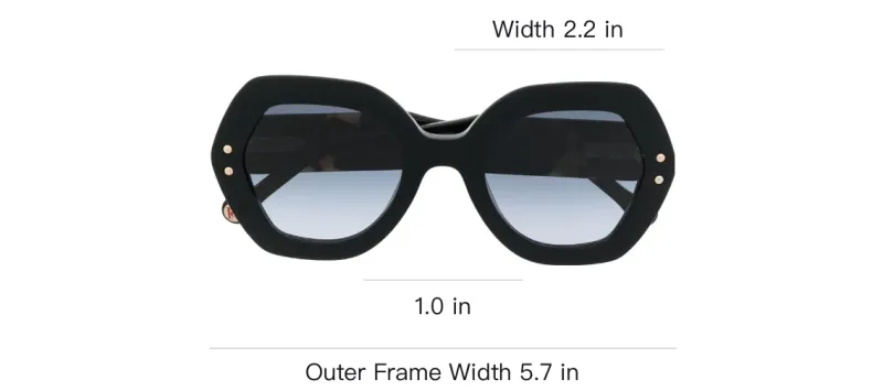 CarolinaHerrera Oversized Geometric frame Sunglasses-2