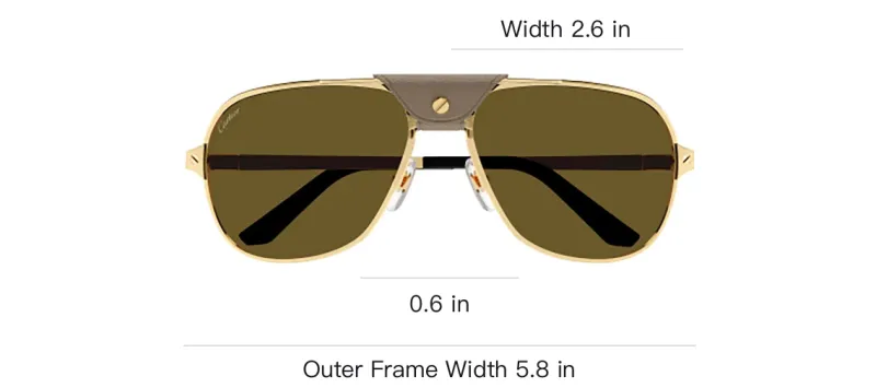 Cartier Aviator Frame Sunglasses-2