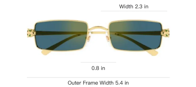 Cartier Panthère Square frame Sunglasses-2