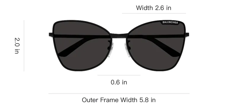Balenciaga Butterfly Frame Eyewear Sunglasses-2