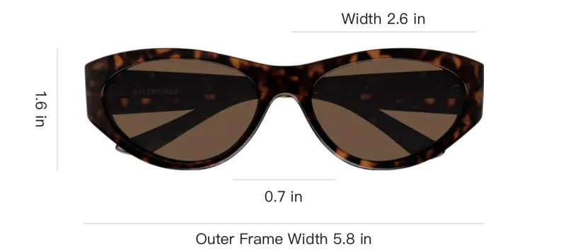 Balenciaga Oval Frame Sunglasses-2