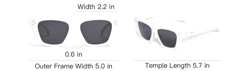 CELINE Acetate Irregular Shape Sunglasses Women's White-2