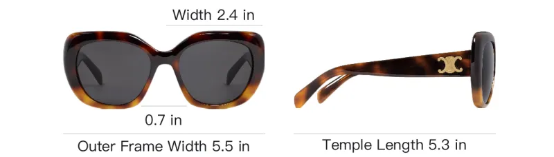 CELINE Triomphe 06 Sunglasses In Acetate-4