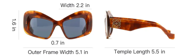 LOEWE Cat Eye Sunglasses-3