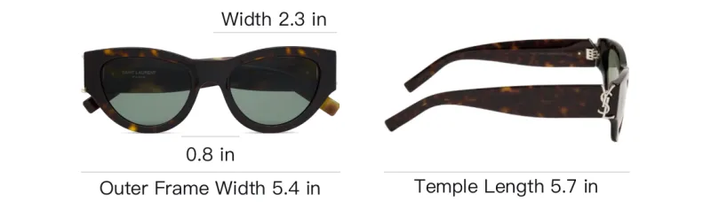 SAINT LAURENT Cat Eye Frame Sunglasses-5
