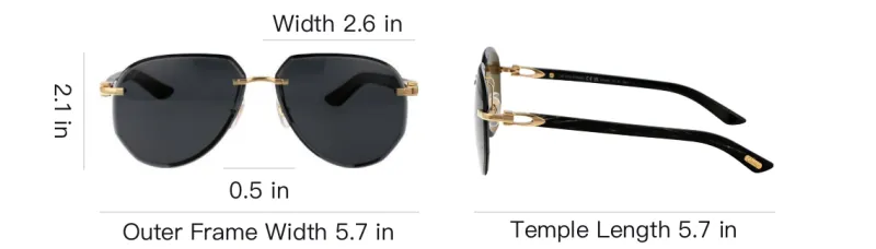 Cartier Aviator Sunglasses-3