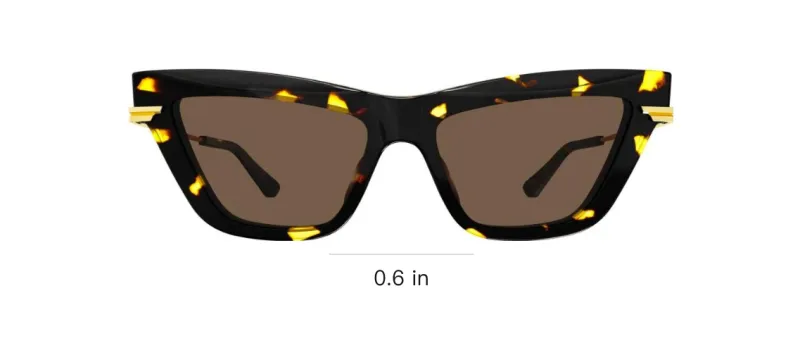 Bottega Veneta Cat Eye Frame Sunglasses-2