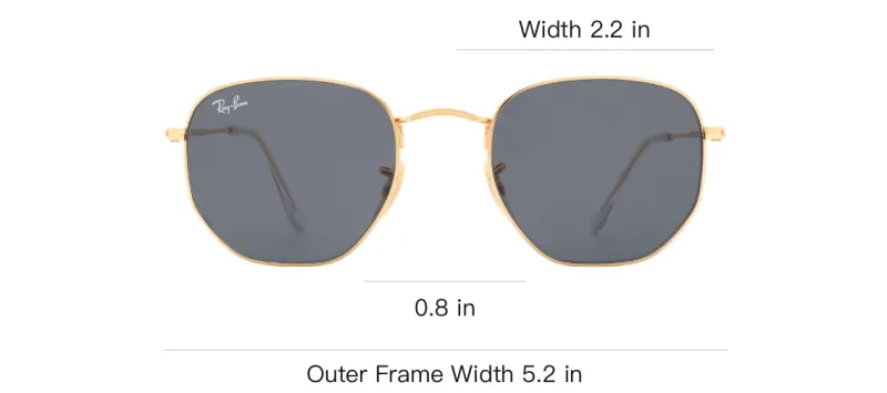 RayBan Hexagonal Flat Sunglasses-2