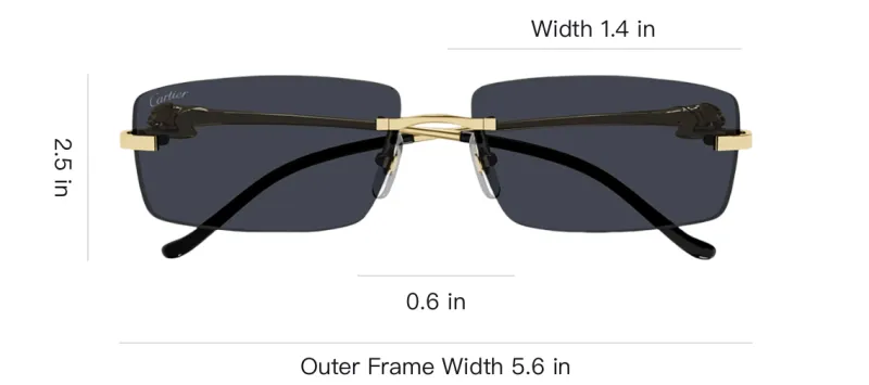 Cartier Rectangular Frame Sunglasses-2