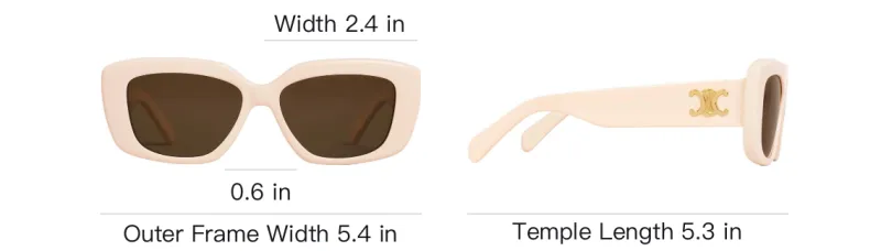 CELINE Triomphe 04 Sunglasses In Acetate-3