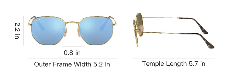 RayBan Hexagonal Sunglasses-5