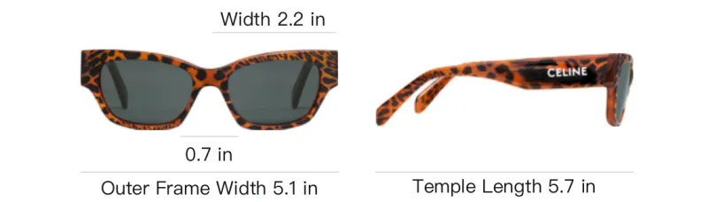 CELINE Monochroms 01 Sunglasses In Acetate-3
