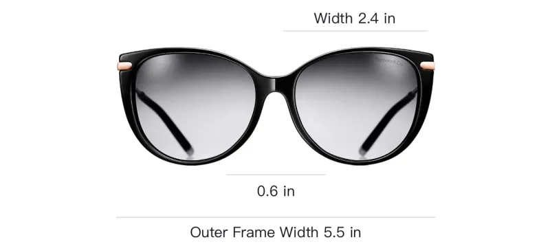 TIFFANY & CO. Oval Sunglasses Unisex Black-3
