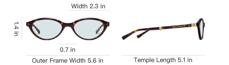 GENTLE MONSTER Plate Frame Irregular Shape Sunglasses Unisex Tortoiseshell-3