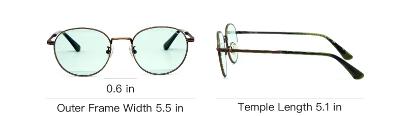 Police Titanium Oval Sunglasses Unisex Gold-5