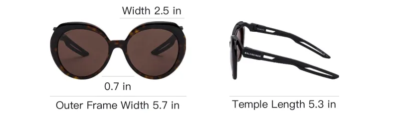 Balenciaga Plastic Oval Sunglasses Women's Tortoiseshell-4