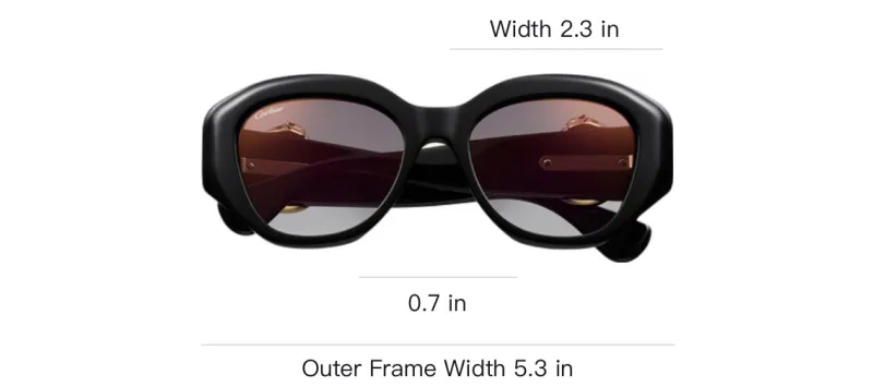 CARTIER Acetate Metal Oval Sunglasses Unisex Black-3