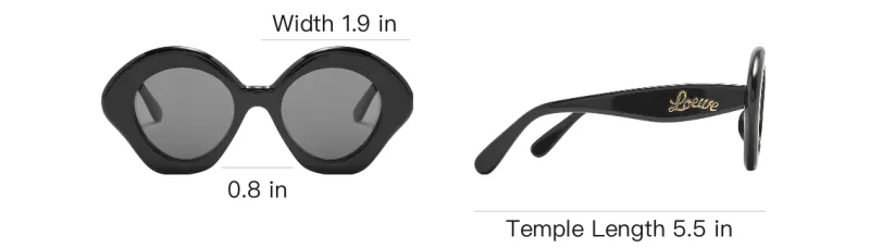 LOEWE Cat Eye Frame Acetate Sunglasses-4