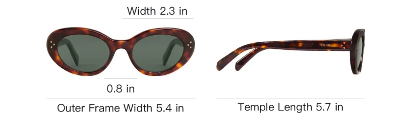 CELINE Cat Eye S193 Sunglasses-3