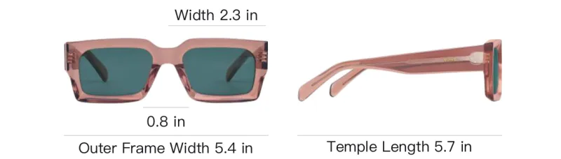 CELINE Black Frame 53 Sunglasses In Acetate-4